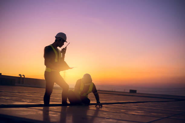 Best Roof Gutter Cleaning  in Burbank, IL