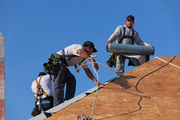 Best New Roof Installation  in Burbank, IL