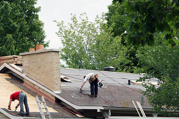 Best Roof Maintenance Services  in Burbank, IL