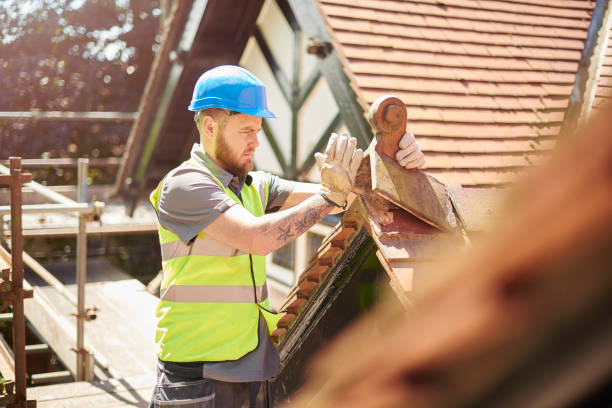 Best Roof Leak Repair  in Burbank, IL